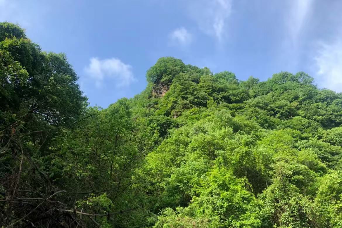 Yaowang Valley